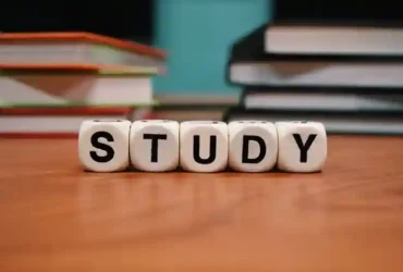 Sistem Pendidikan di Indonesia Tinjauan Mendalam tentang Struktur dan Tantangan 79 79 pasirpengaraiandotcom